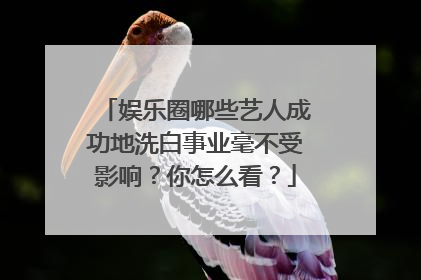 娱乐圈哪些艺人成功地洗白事业毫不受影响？你怎么看？