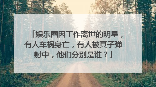 娱乐圈因工作离世的明星,有人车祸身亡,有人被真子弹射中,他们分别是谁?