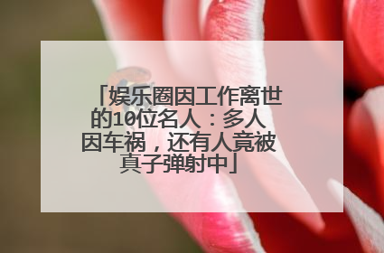 娱乐圈因工作离世的10位名人：多人因车祸，还有人竟被真子弹射中