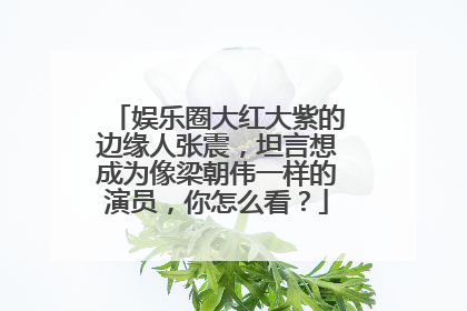娱乐圈大红大紫的边缘人张震，坦言想成为像梁朝伟一样的演员，你怎么看？