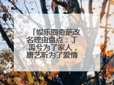 娱乐圈奇葩改名理由盘点：丁禹兮为了家人，唐艺昕为了爱情，你怎么看？