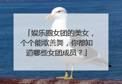 娱乐圈女团的美女,个个能歌善舞,你都知道哪些女团成员?