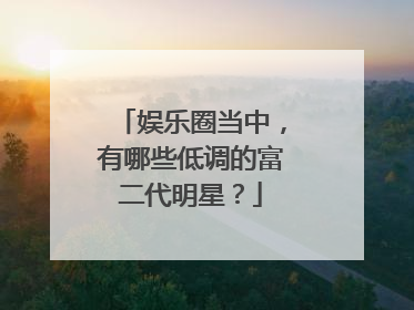 娱乐圈当中，有哪些低调的富二代明星？