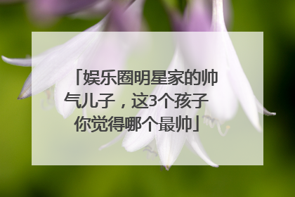 娱乐圈明星家的帅气儿子，这3个孩子你觉得哪个最帅
