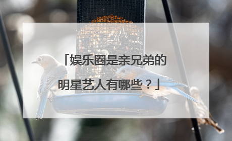 娱乐圈是亲兄弟的明星艺人有哪些?