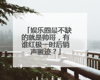 娱乐圈最不缺的就是帅哥,有谁红极一时后销声匿迹?