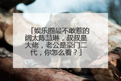 娱乐圈最不敢惹的阔太陈慧琳,叔叔是大佬,老公是豪门二代,你怎么看?
