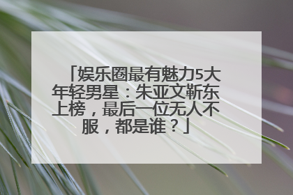 娱乐圈最有魅力5大年轻男星:朱亚文靳东上榜,最后一位无人不服,都是谁?