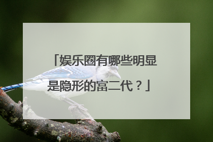 娱乐圈有哪些明显是隐形的富二代?