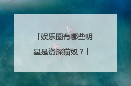 娱乐圈有哪些明星是资深猫奴?