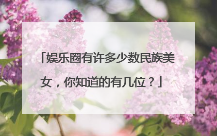 娱乐圈有许多少数民族美女,你知道的有几位?
