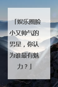 娱乐圈脸小又帅气的男星，你认为谁最有魅力？