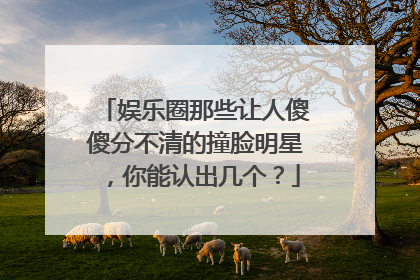 娱乐圈那些让人傻傻分不清的撞脸明星，你能认出几个？