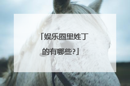 娱乐圈里姓丁的有哪些?