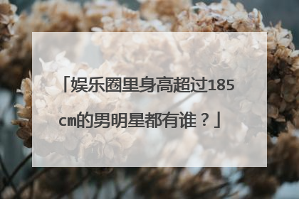 娱乐圈里身高超过185cm的男明星都有谁?