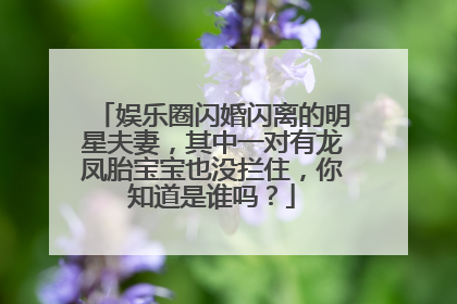 娱乐圈闪婚闪离的明星夫妻,其中一对有龙凤胎宝宝也没拦住,你知道是谁吗?