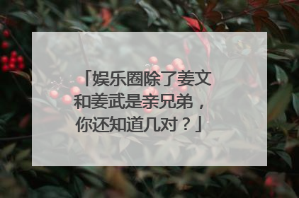 娱乐圈除了姜文和姜武是亲兄弟，你还知道几对？