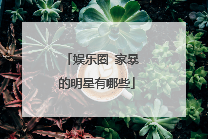 娱乐圈 家暴的明星有哪些