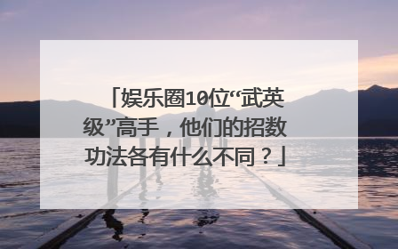 娱乐圈10位“武英级”高手,他们的招数功法各有什么不同?