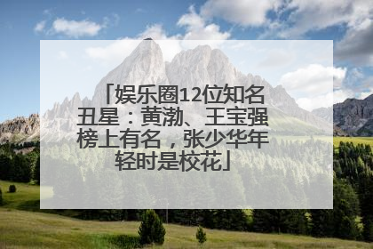 娱乐圈12位知名丑星:黄渤、王宝强榜上有名,张少华年轻时是校花