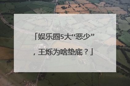 娱乐圈5大“恶少”,王烁为啥垫底?