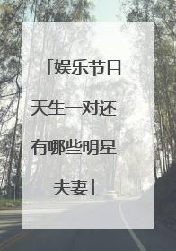 娱乐节目天生一对还有哪些明星夫妻