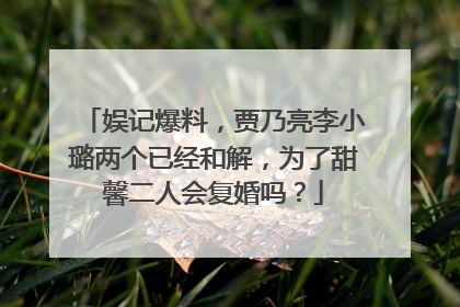 娱记爆料,贾乃亮李小璐两个已经和解,为了甜馨二人会复婚吗?
