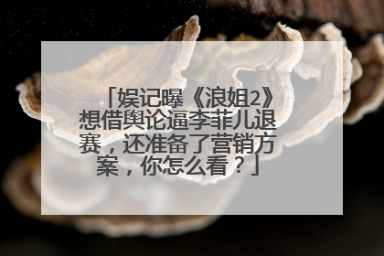 娱记曝《浪姐2》想借舆论逼李菲儿退赛，还准备了营销方案，你怎么看？