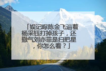娱记曝陈金飞逼着杨采钰打掉孩子，还撒气刘亦菲是扫把星，你怎么看？