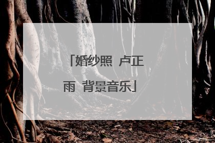 婚纱照 卢正雨 背景音乐