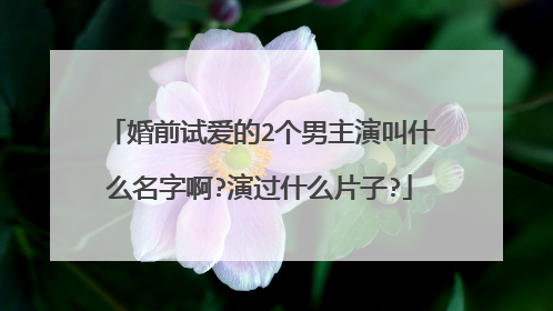 婚前试爱的2个男主演叫什么名字啊?演过什么片子?