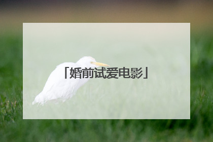婚前试爱电影