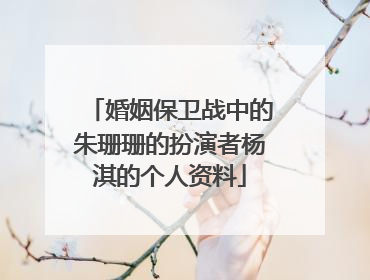 婚姻保卫战中的朱珊珊的扮演者杨淇的个人资料