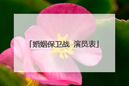 婚姻保卫战 演员表