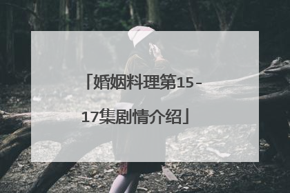 婚姻料理第15-17集剧情介绍