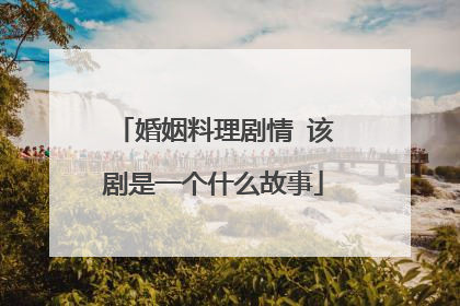 婚姻料理剧情 该剧是一个什么故事