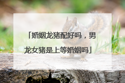 婚姻龙猪配好吗,男龙女猪是上等婚姻吗