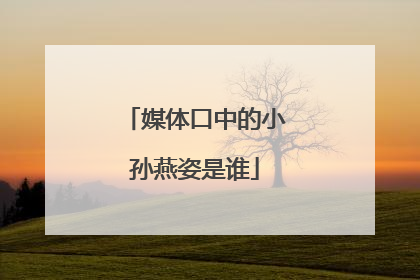 媒体口中的小孙燕姿是谁