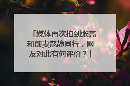 媒体再次拍到张亮和前妻寇静同行,网友对此有何评价?