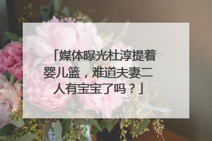 媒体曝光杜淳提着婴儿篮,难道夫妻二人有宝宝了吗?