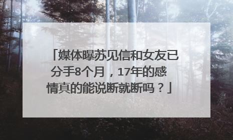 媒体曝苏见信和女友已分手8个月，17年的感情真的能说断就断吗？