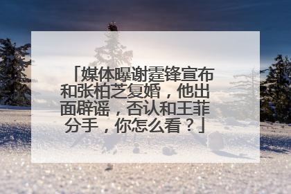 媒体曝谢霆锋宣布和张柏芝复婚，他出面辟谣，否认和王菲分手，你怎么看？
