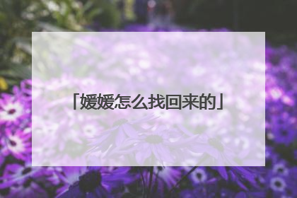 媛媛怎么找回来的