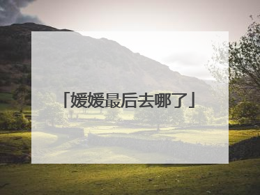 媛媛最后去哪了