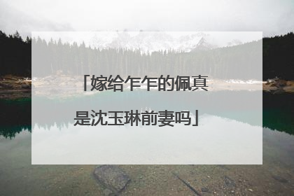 嫁给乍乍的佩真是沈玉琳前妻吗