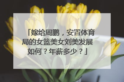 嫁给周鹏，安置体育局的女篮美女刘美发展如何？年薪多少？