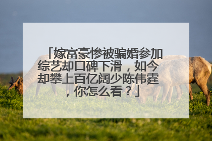 嫁富豪惨被骗婚参加综艺却口碑下滑，如今却攀上百亿阔少陈伟霆，你怎么看？