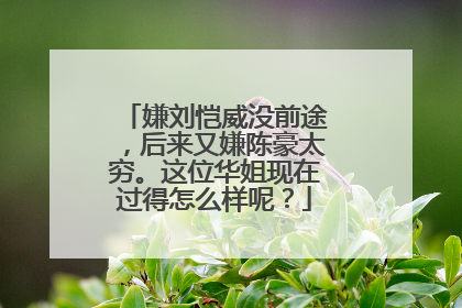 嫌刘恺威没前途，后来又嫌陈豪太穷。这位华姐现在过得怎么样呢？