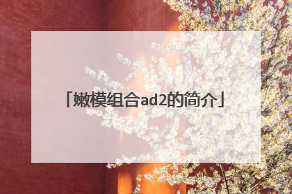 嫩模组合ad2的简介