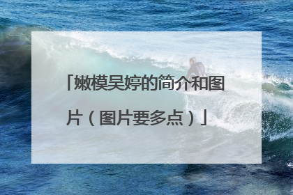 嫩模吴婷的简介和图片(图片要多点)